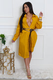 Lizzo Tunic Dress